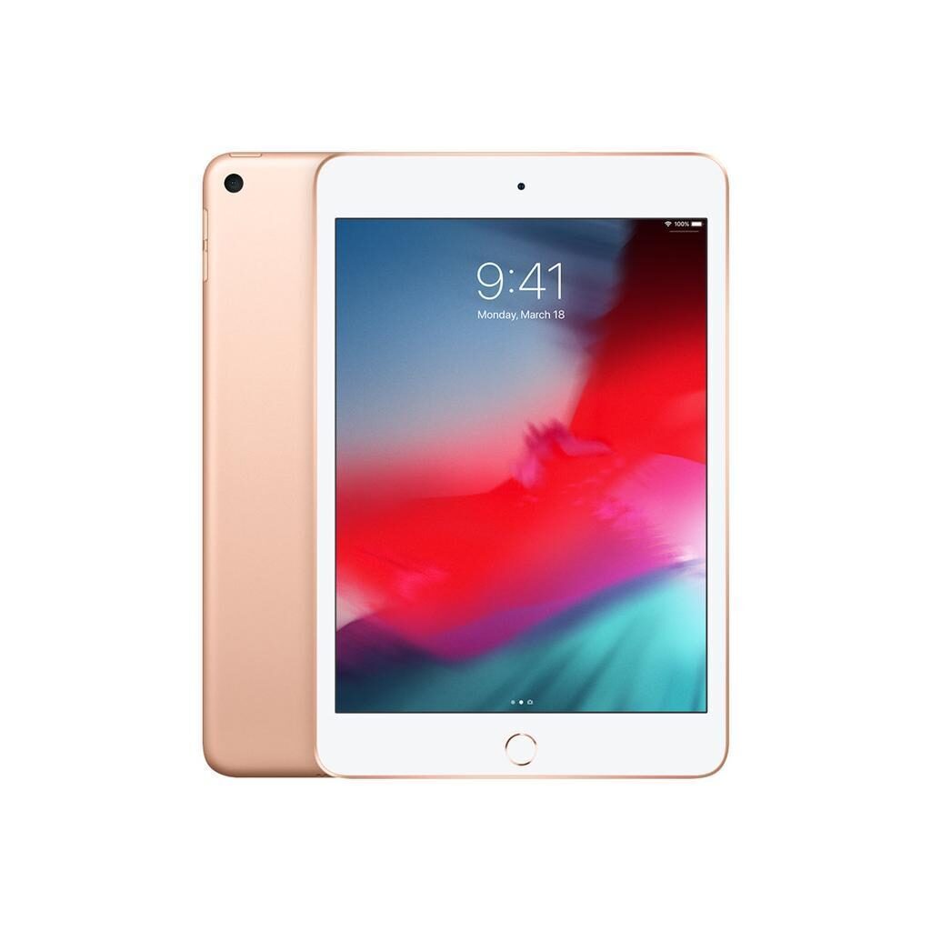 iPad mini 5 (2019, A12 series)