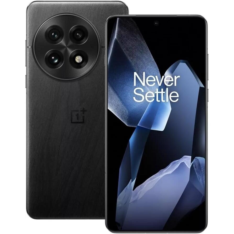 OnePlus 13